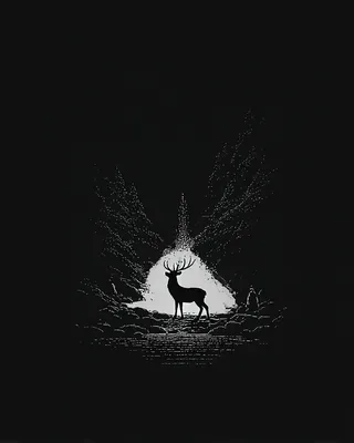 Midjourney SREF 1055 Enchanted Wilderness — Minimalist Mysterious