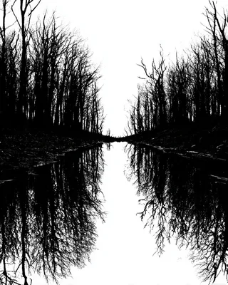 SREF 1282 Twisted Wilderness