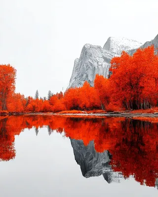 SREF 1540 Crimson Wilderness
