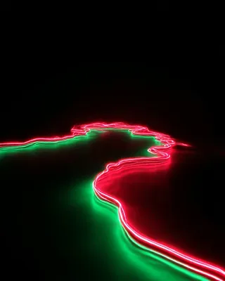 SREF 1647 Neon Wilderness