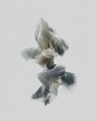 Midjourney SREF 1978 Ethereal Fish Dance — Digital Illustration Serene