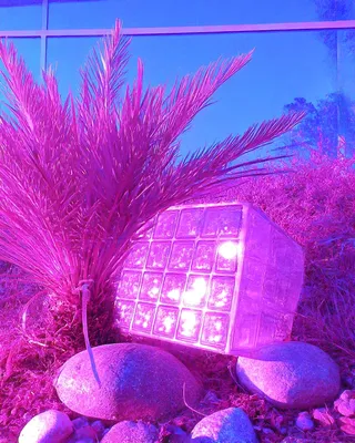 Midjourney SREF 2010 Neon Pasture — sample image 4