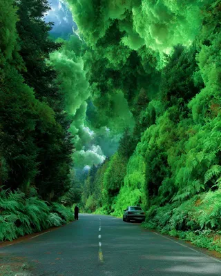 Midjourney SREF 2207 Emerald Sanctum — sample image 4