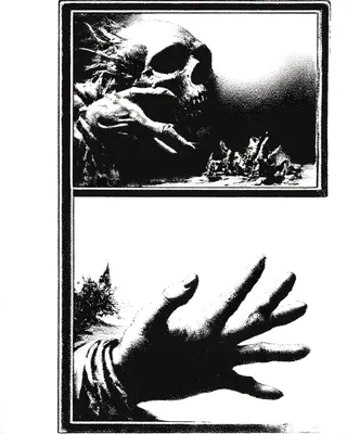Midjourney SREF 2289 Memento Mori — sample image 4