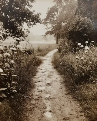 Midjourney SREF 231 Vintage Reverie — sample image 4