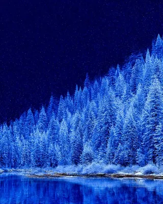 Midjourney SREF 2441 Frozen Reverie — Cinematic & 3D Ethereal
