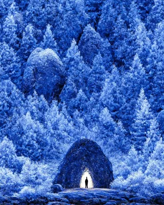 Midjourney SREF 2441 Frozen Reverie — sample image 4