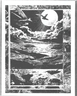 SREF 2443 Luminous Journey