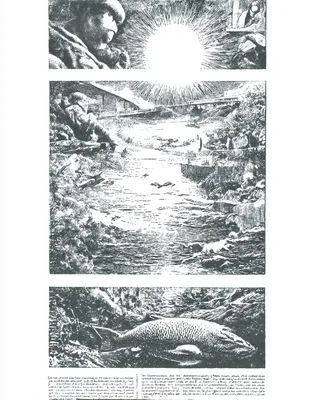 Midjourney SREF 2443 Luminous Journey — sample image 4