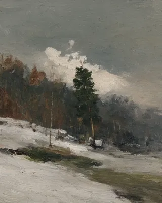 SREF 2613 Winter Contemplation