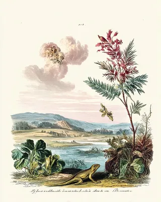 SREF 2746 Botanical Expeditions