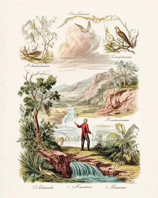 Midjourney SREF 2746 Botanical Expeditions — sample image 2