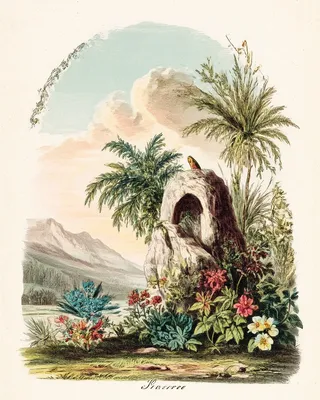 Midjourney SREF 2746 Botanical Expeditions — sample image 3