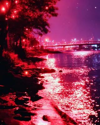 Midjourney SREF 2923 Neon Reverie — sample image 3