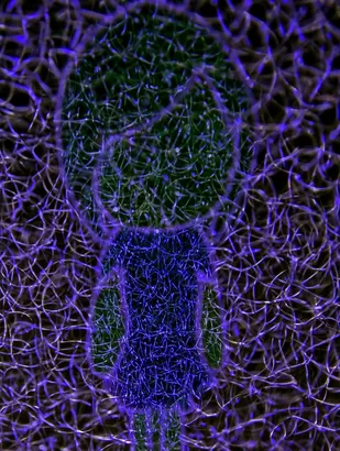 Midjourney SREF 4186 Digital Consciousness — sample image 3