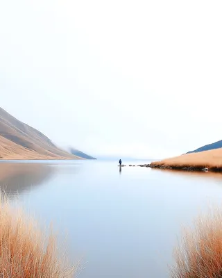 SREF 427 Solitary Serenity