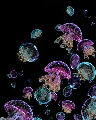 Midjourney SREF 438 Neon Jellyfish Dreams — sample image 4