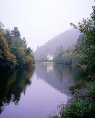 SREF 683 Misty Refuge