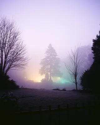 Midjourney SREF 683 Misty Refuge — sample image 2