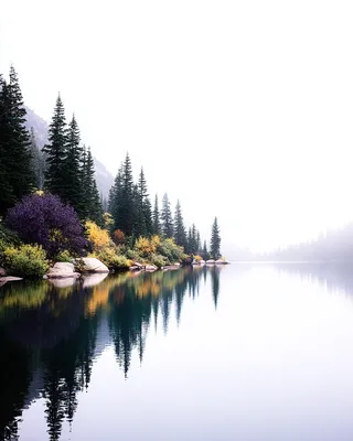 Midjourney SREF 683 Misty Refuge — sample image 4