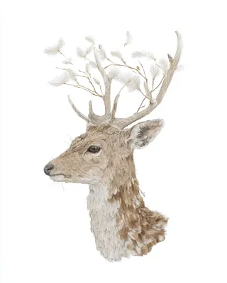 SREF 711 Botanical Stag